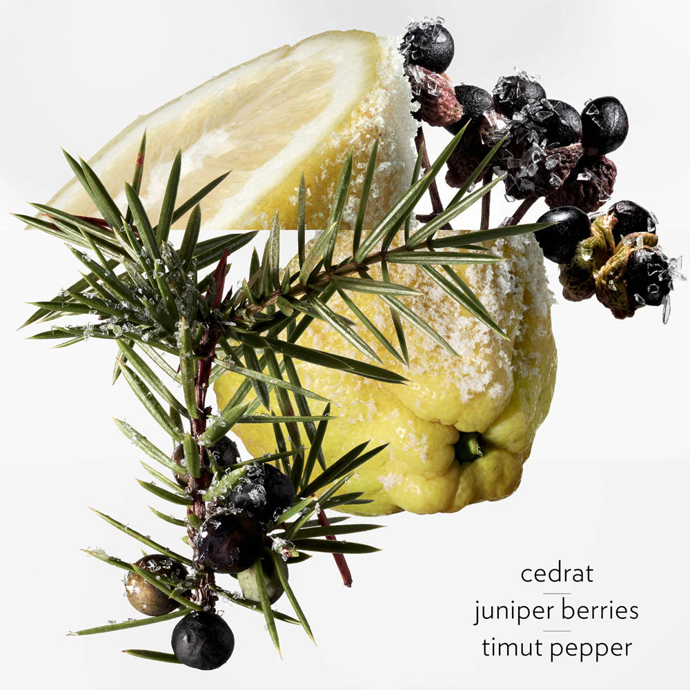 HERMÈS Terre d’Hermès Eau Givrée 100 ml – Парфюм за мъже