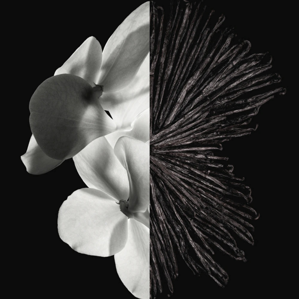 Givenchy Gentleman Givenchy EDP 100 ml – Парфюмна вода за мъже